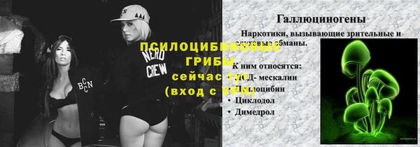 apvp Горнозаводск