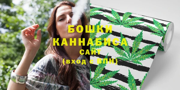 apvp Горнозаводск